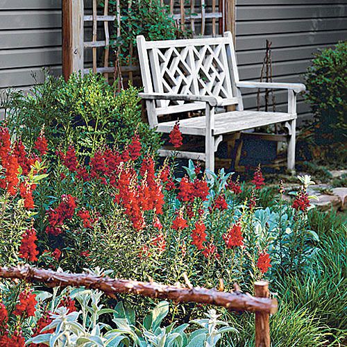 red wildflowers in a garden landscape with a teak bench set against a wall in the corner of the garden