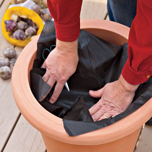 How to Plant Bulbs in a Container: Step Two