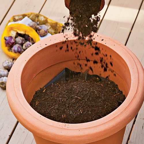 How to Plant Bulbs in a Container: Step Three