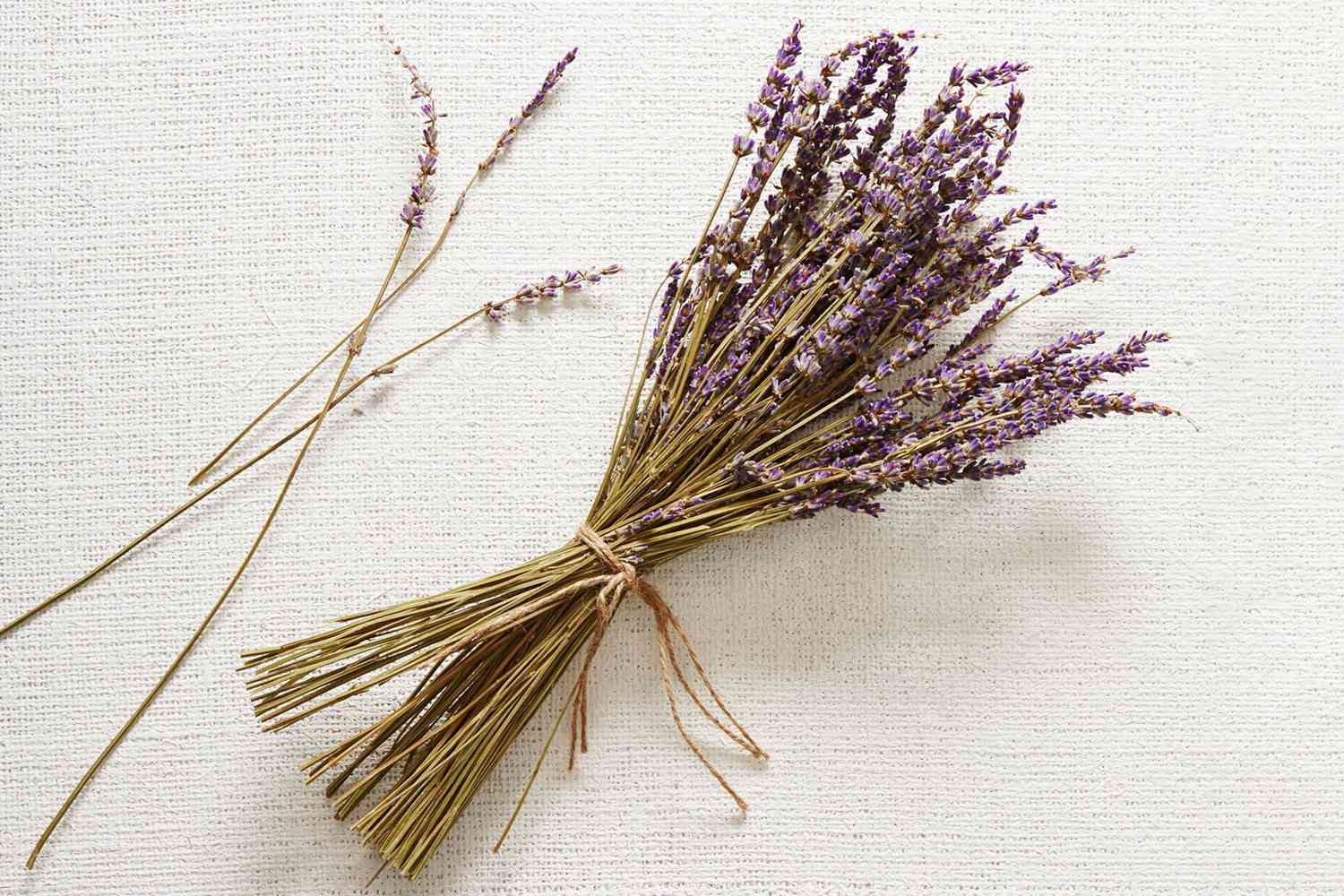 West Elm Dried Lavender Stem Bunch