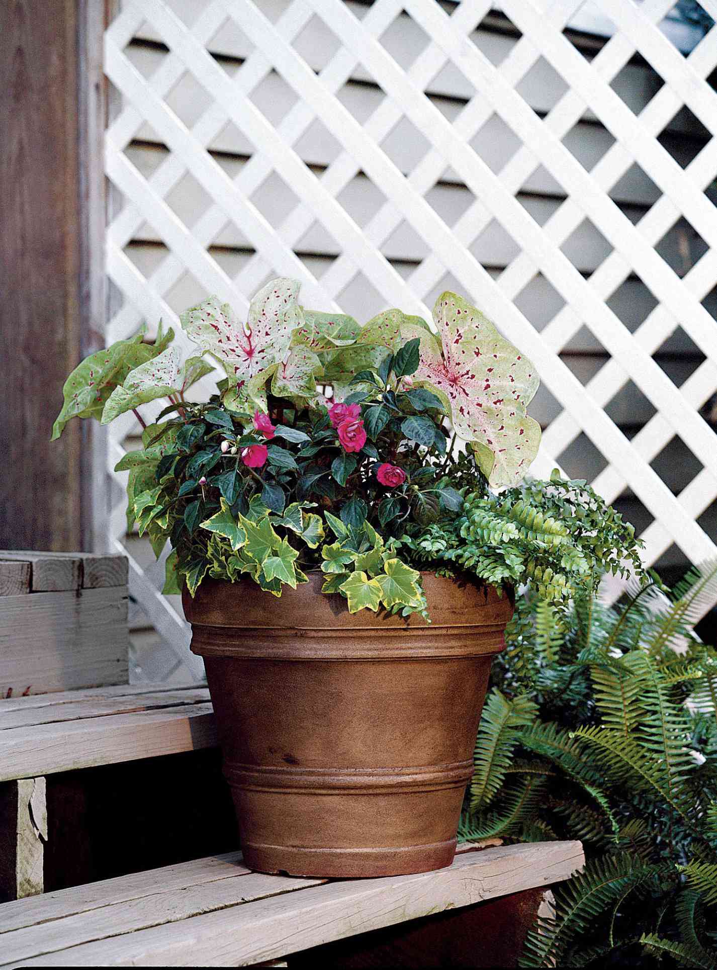 Tired Shade Container Garden