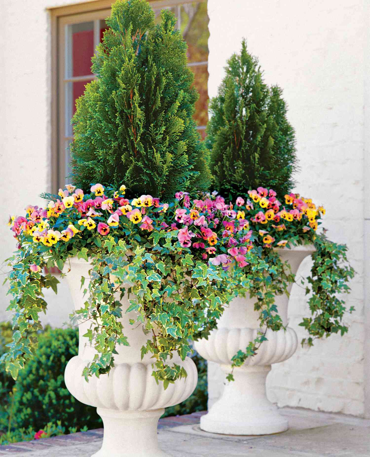 Structured Shade Container Garden