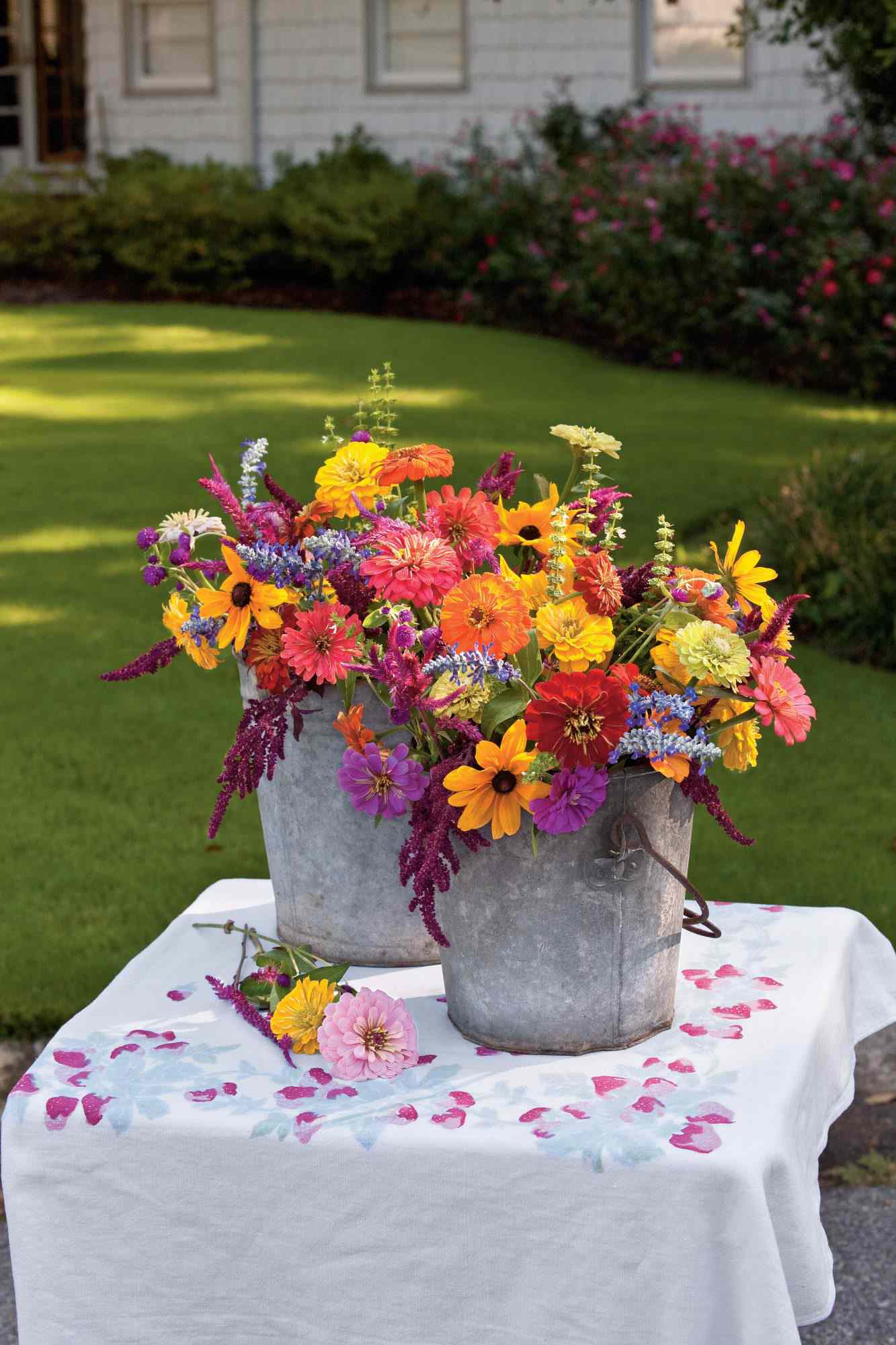 Backyard Blooms