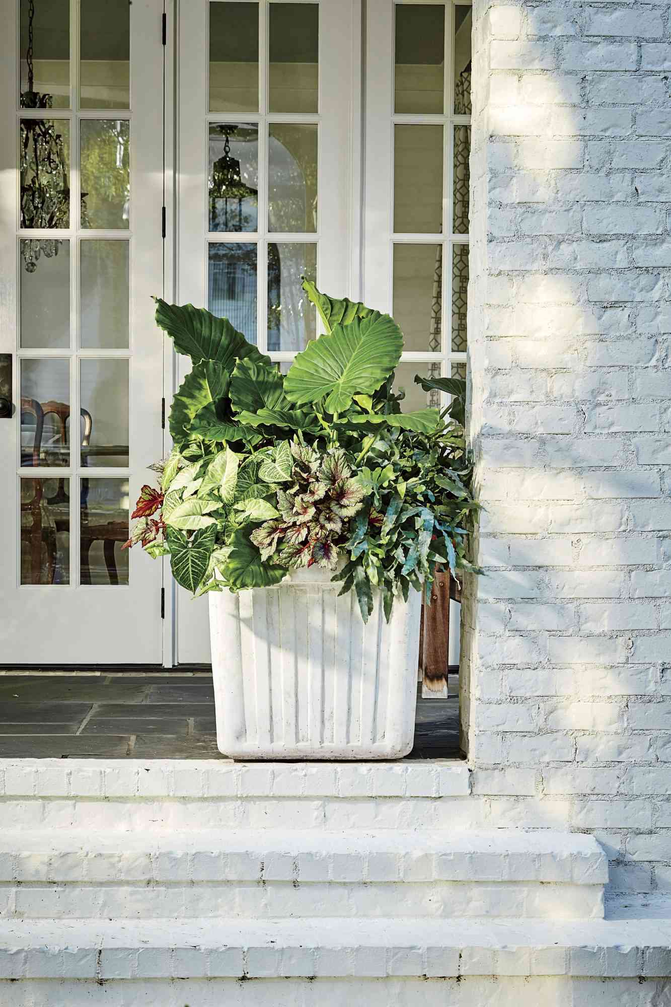 Shade Container with Green Plants