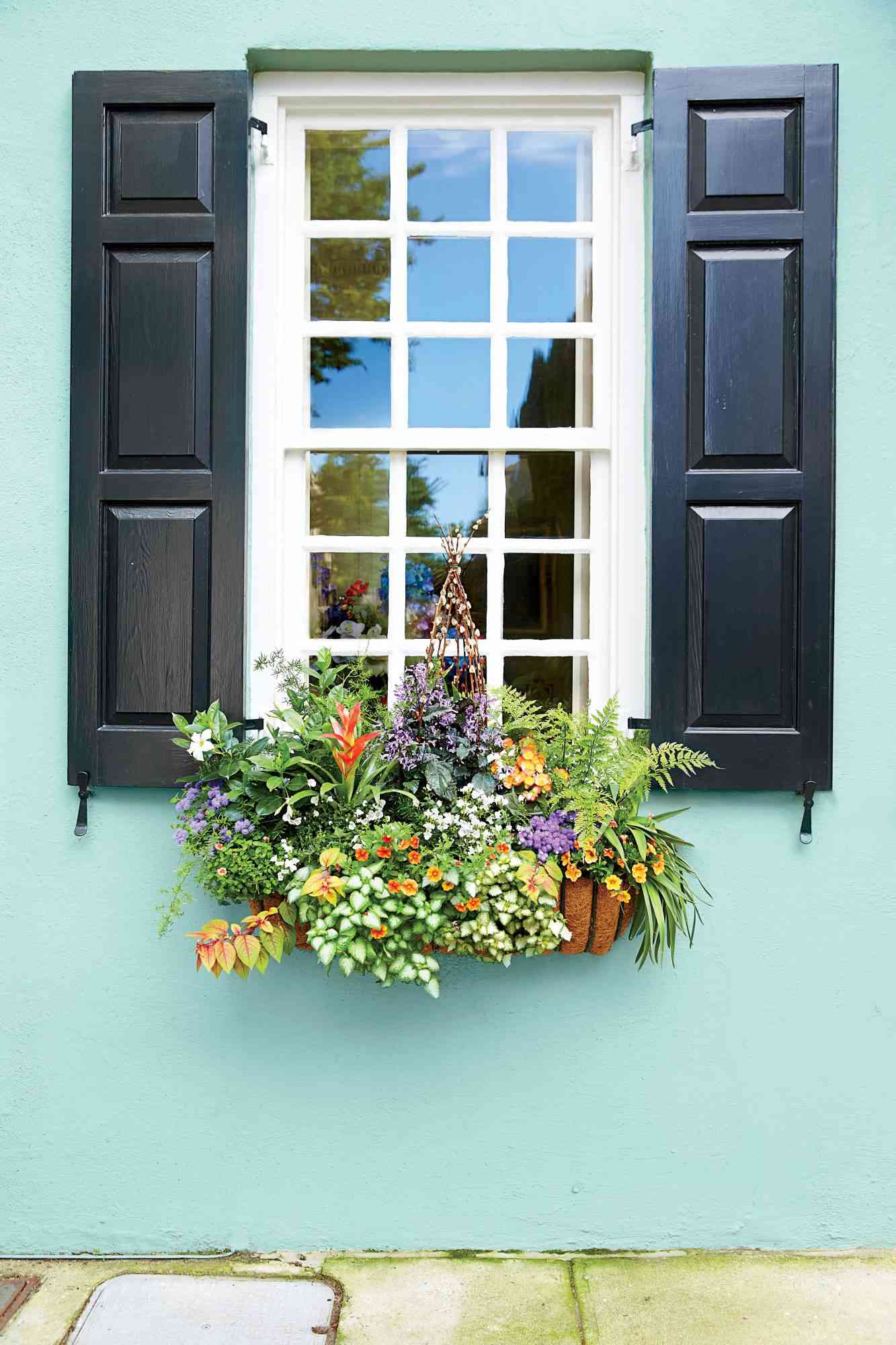 Bright Mini Garden Window Box