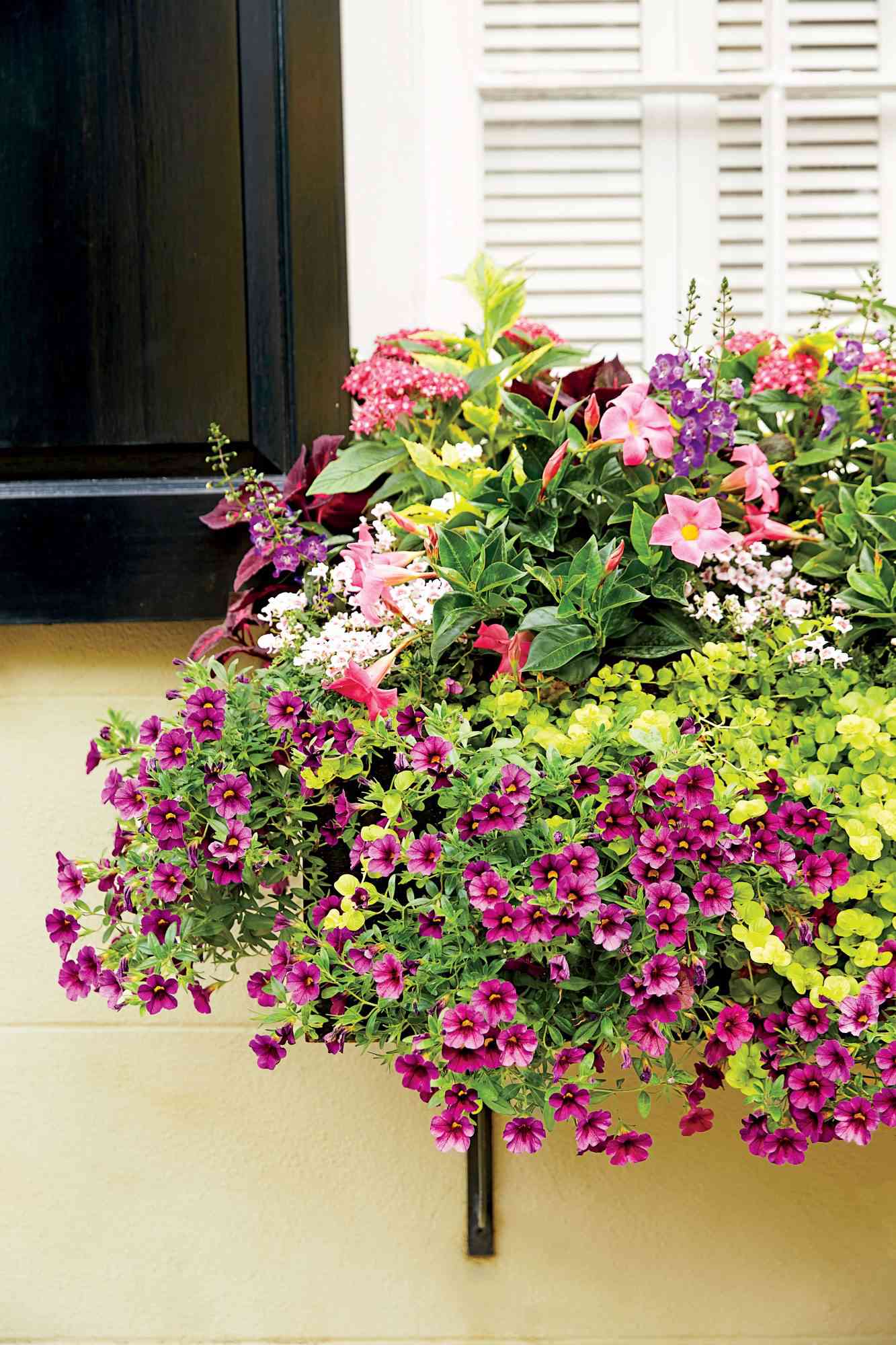 Floral Window Box